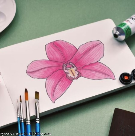 دفتر برای انواع نقاشی